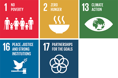 Icons for SDG's 1,2,13,16,17