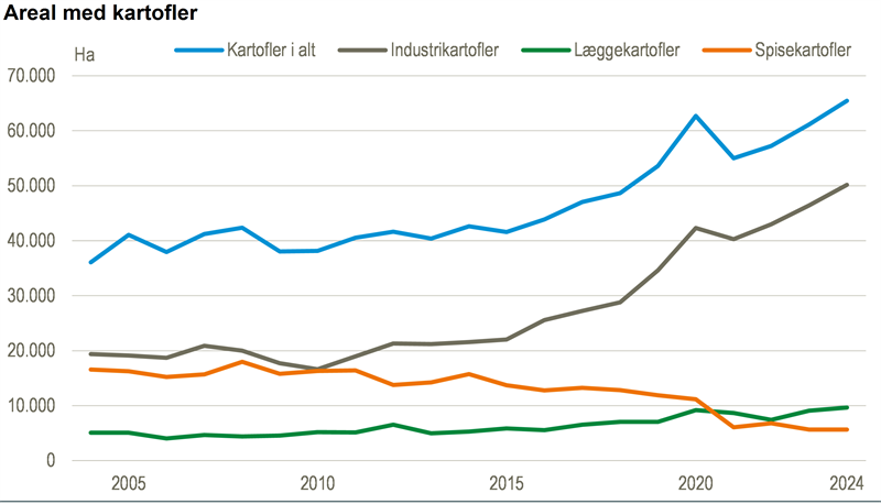 Flere kartofler på de danske marker